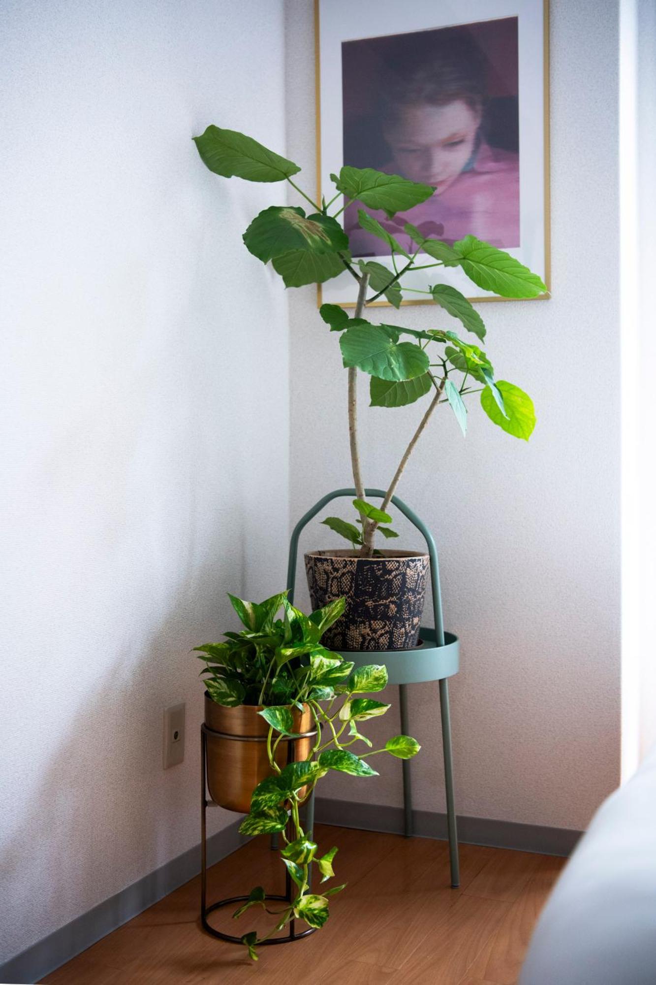Renovated In June 2024 Apartment 3Mins Walk To Station 1Stop To Shinjuku 3Stop To Shibuya 도쿄 외부 사진